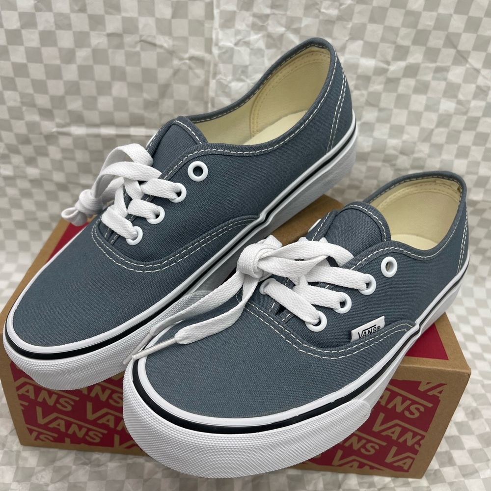 Vans Men’s Authentic
Color Theory Stormy Weather 
VN000EGARV2 Sneakers - Picture 10 of 16